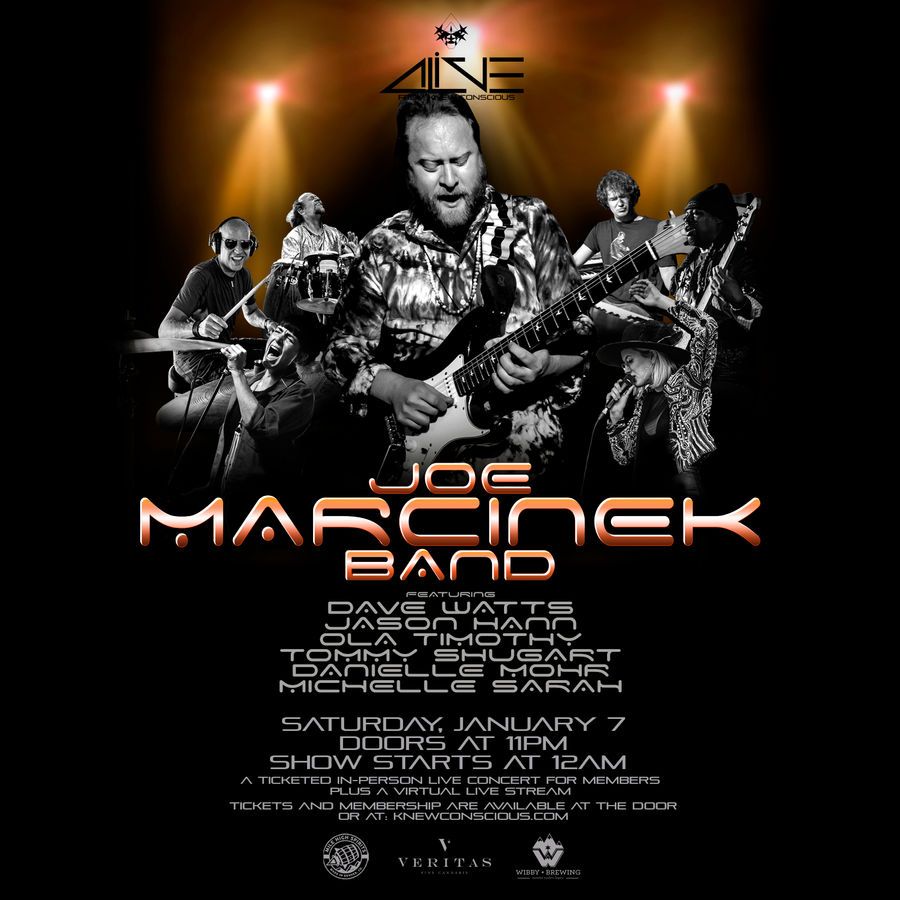 Joe Marcinek Band