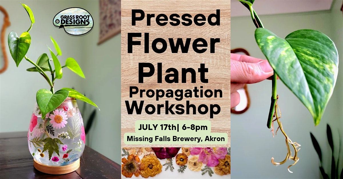 Pressed Flower Plant Propagation| Missing Falls Brewery