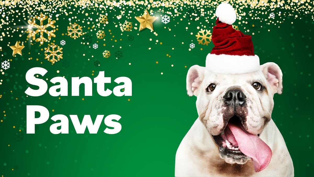 Santa Paws Pet Photography