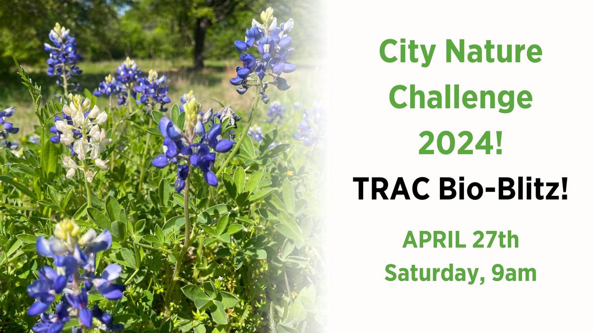 City Nature Challenge 2024!