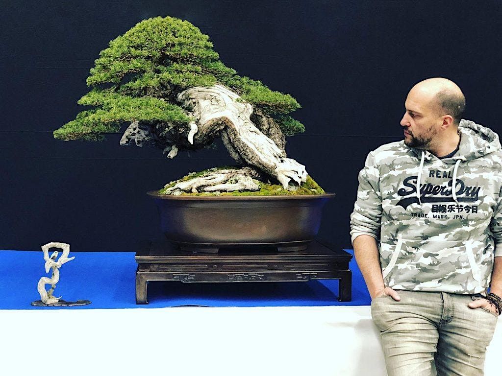 2024 New Zealand National Bonsai Convention + Exhibition