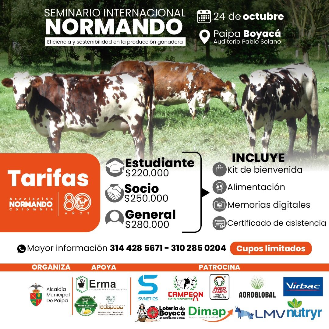 Seminario Internacional Normando