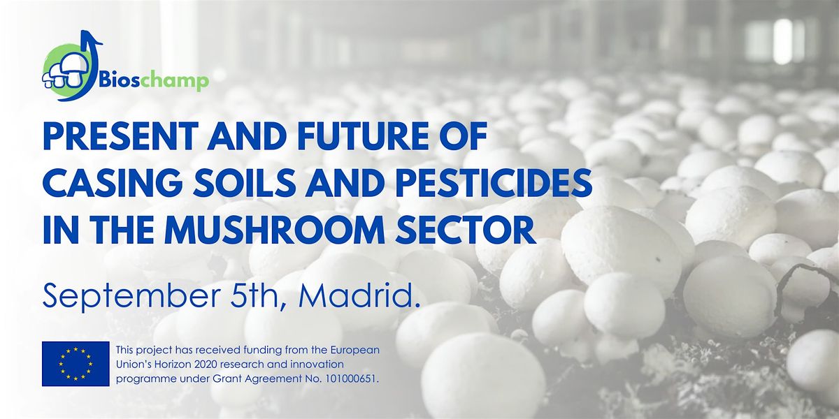 PRESENT AND FUTURE OF CASING SOILS AND PESTICIDES IN THE MUSHROOM SECTOR