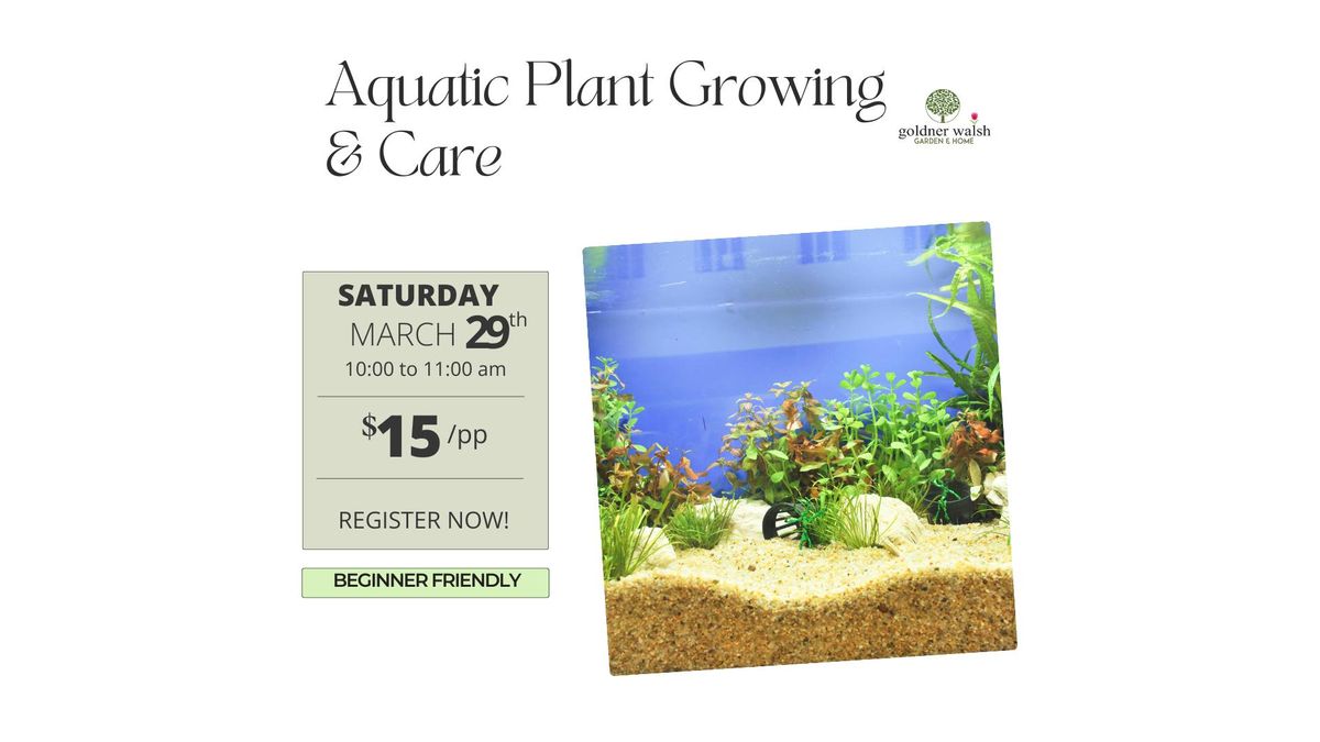 Aquatic Plant Growing & Care