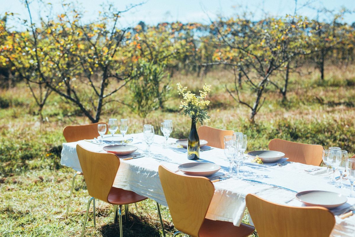 Lyttleton's Last Long Lunch at Bilpin 