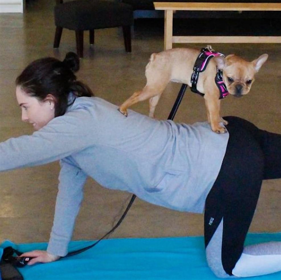 Dog Friendly Yoga Info Session