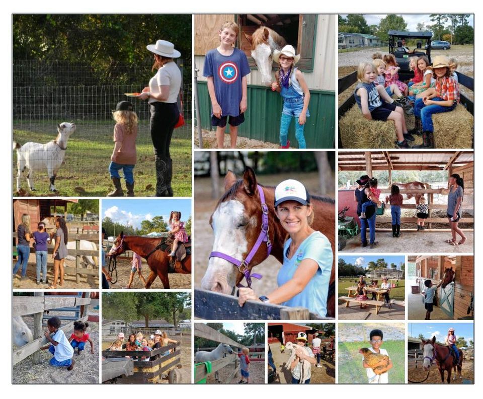 Homeschool Farm Day #3