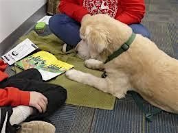 Shelter Dogs @ the Library