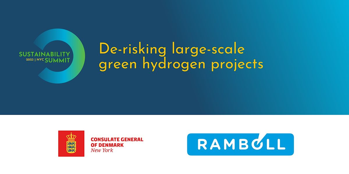 De-risking large-scale green hydrogen projects