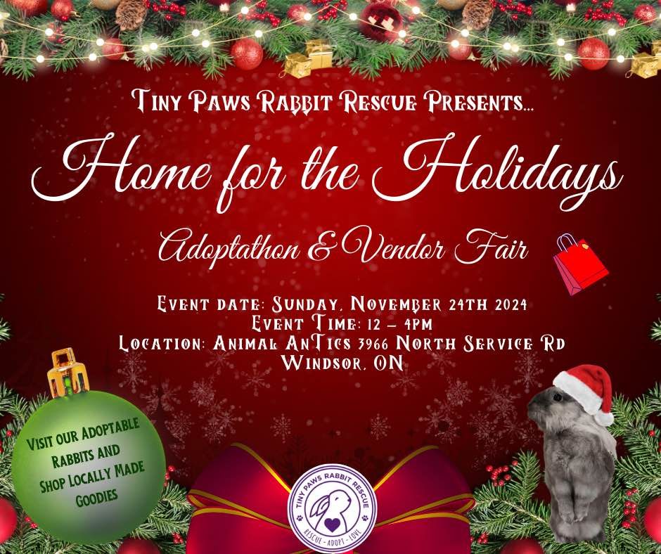 Home for the Holidays Adoptathon and Vendor Fair by Tiny Paws Rabbit Rescue