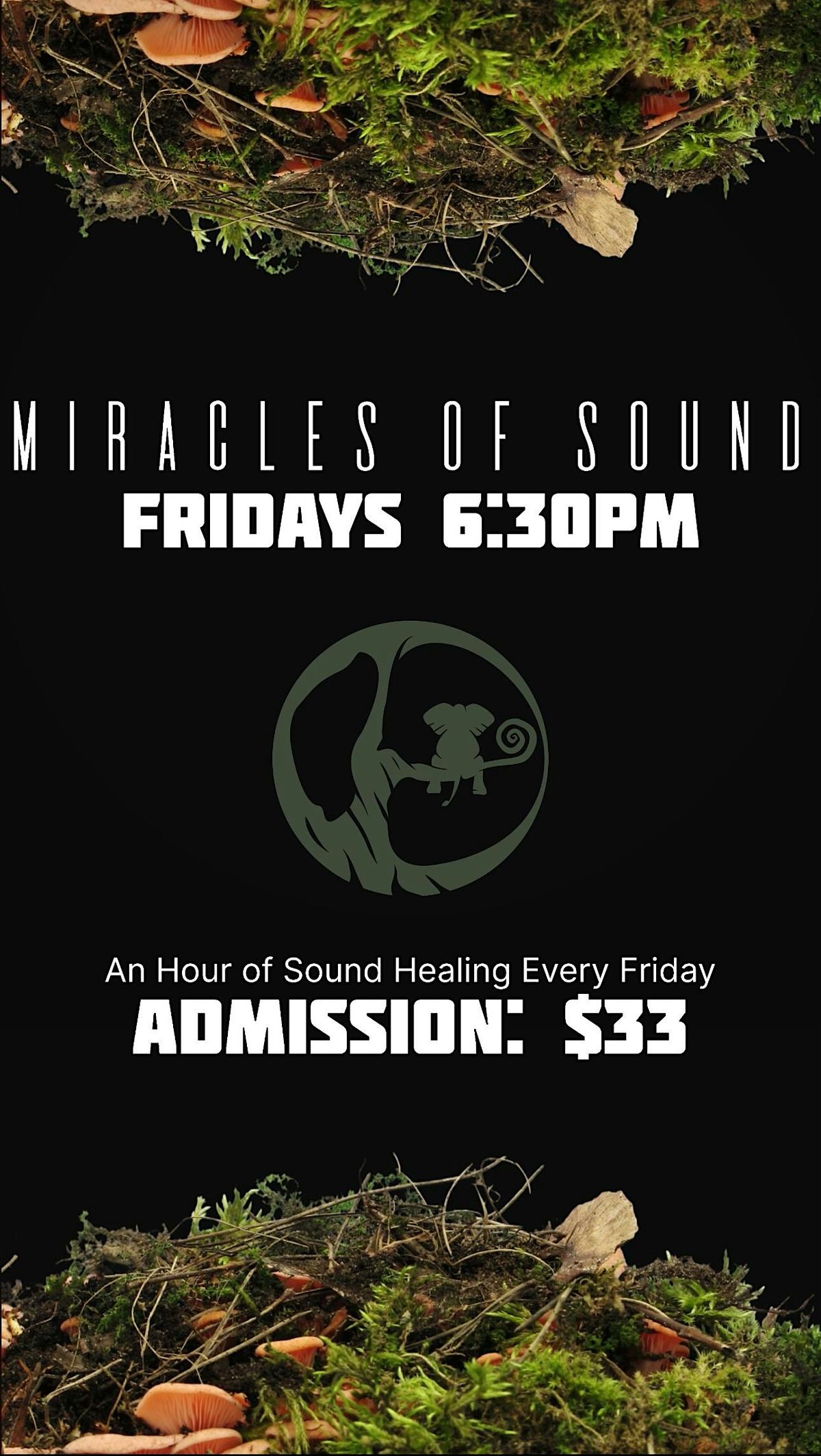 Miracles of Sound