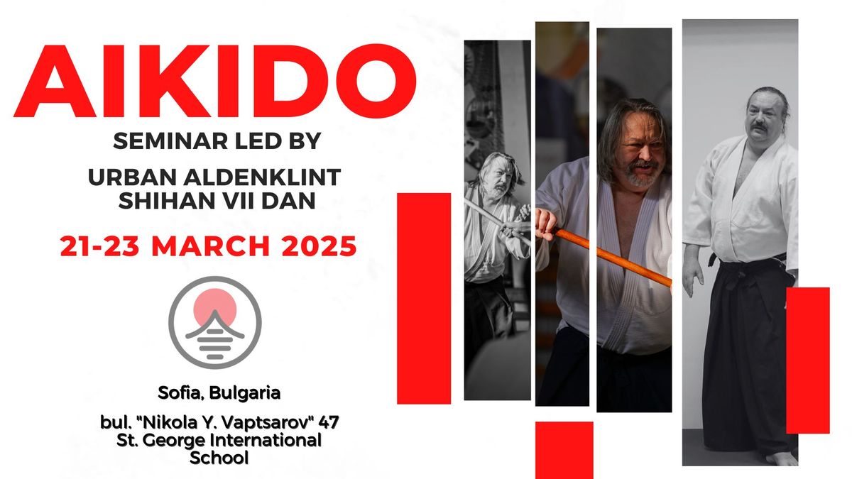 Aikido seminar led by Urban Aldenklint shihan VII dan