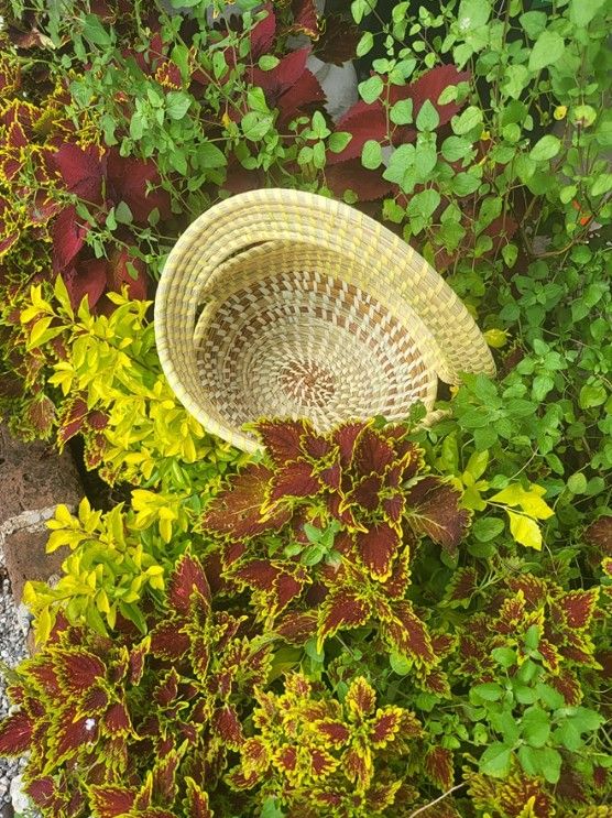 Sweetgrass Basket Making Class