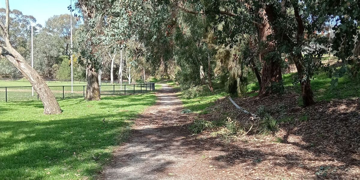 Try Bushwalking Month - Stradbroke Park \u2013 Hay's Paddock + Cafe Lunch - Grade 2 (Easy)