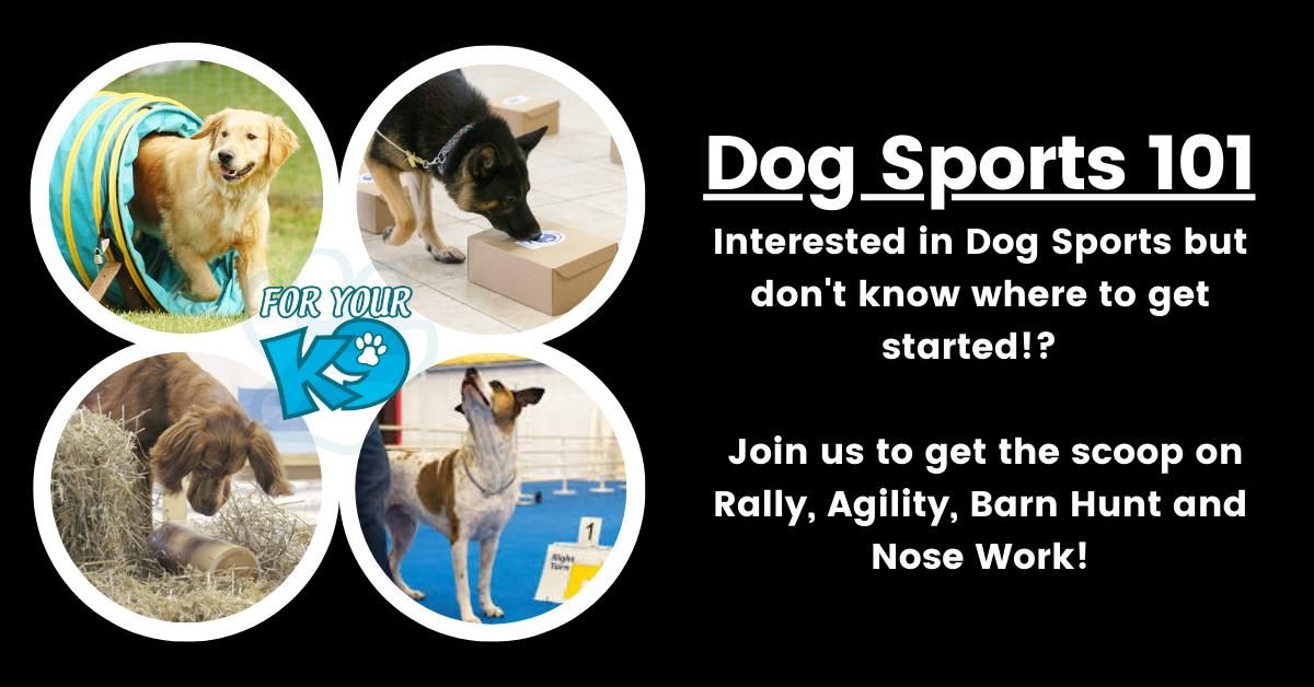 Dog Sports 101 - FREE Informational Session