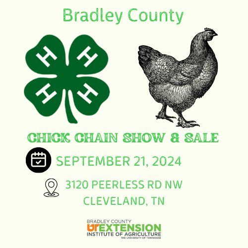 Bradley 4-H Chick Chain Show & Sale