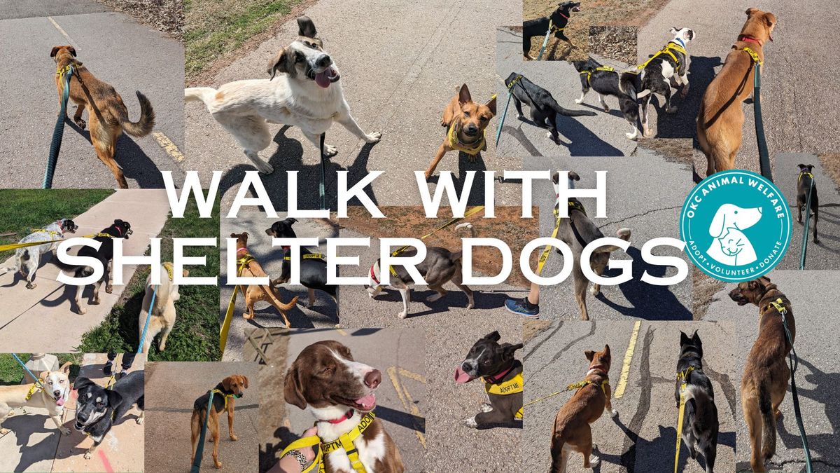 Walk With Shelter Dogs at Myriad Botanical Gardens