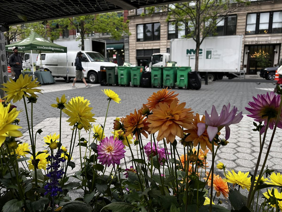 Greenmarket Volunteering at Union Square