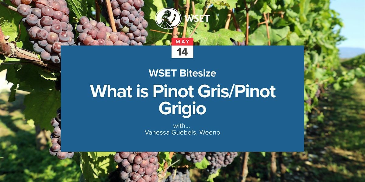 WSET Bitesize - What is Pinot Gris\/Pinot Grigio?