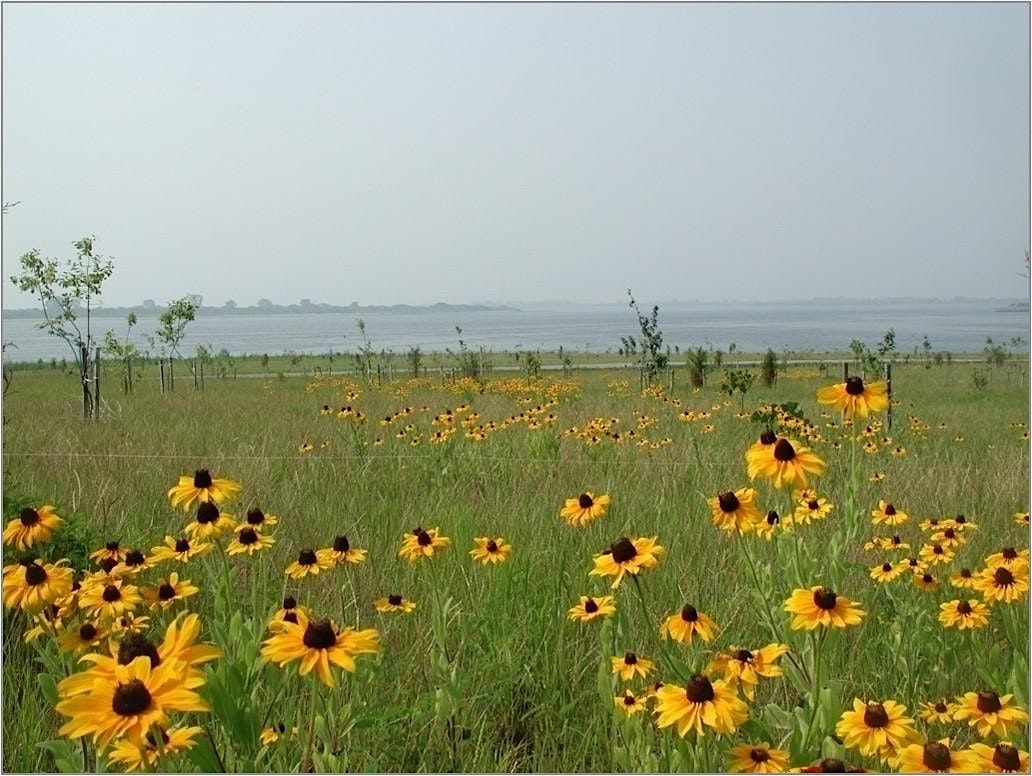 Shirley Chisholm State Park Tour