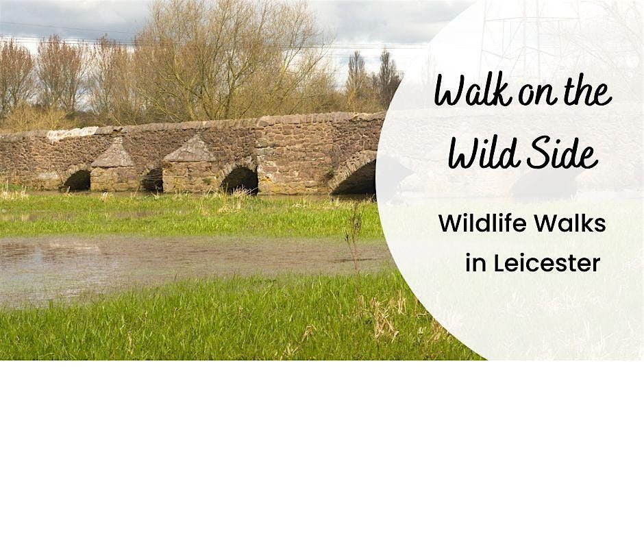 A Walk on the Wild Side - Aylestone Meadows south and Great Central Way