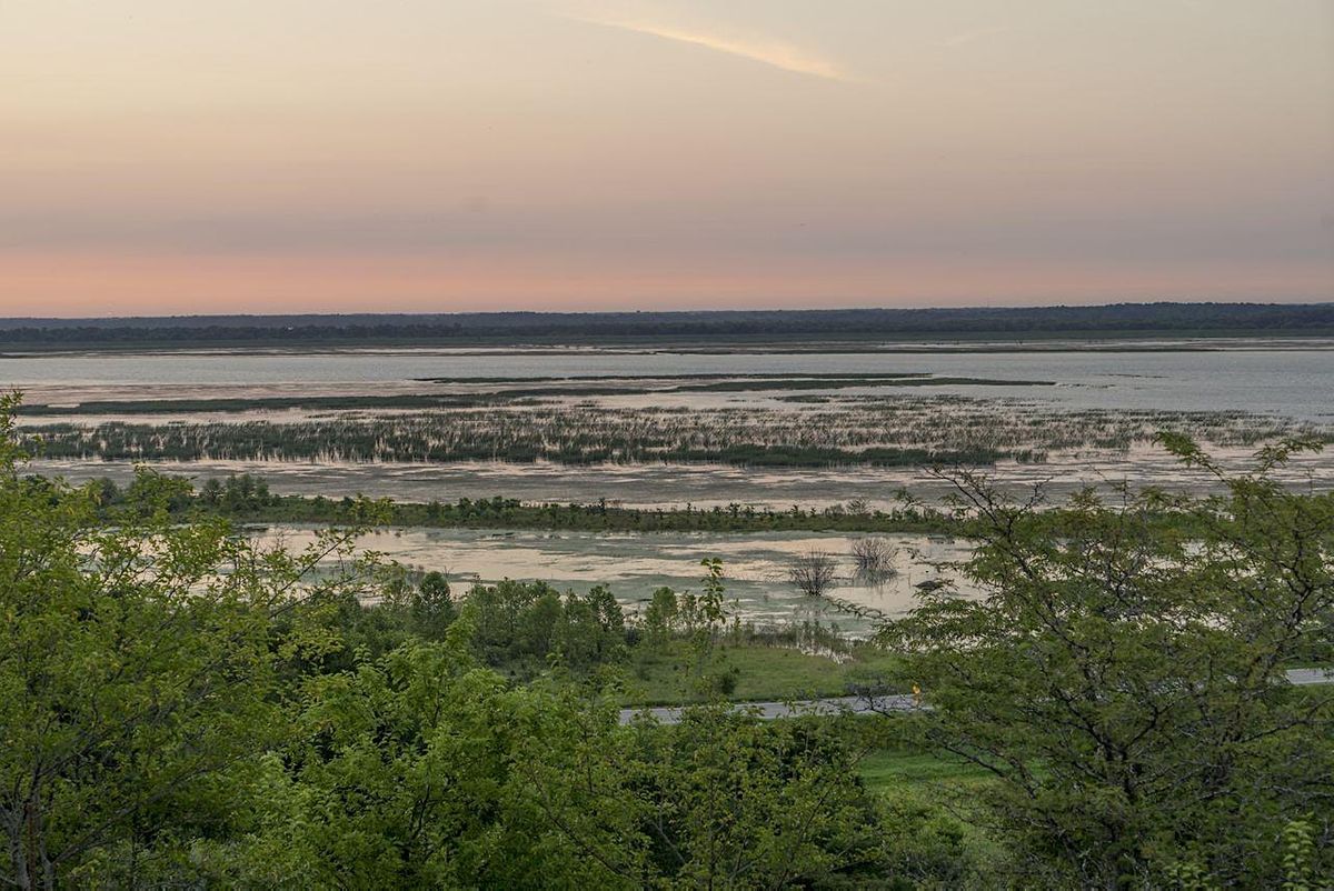 1st Annual Community Camp at Emiquon Preserve