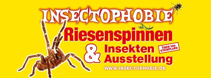 Insectophobie Riesenspinnen & Insekten Ausstellung