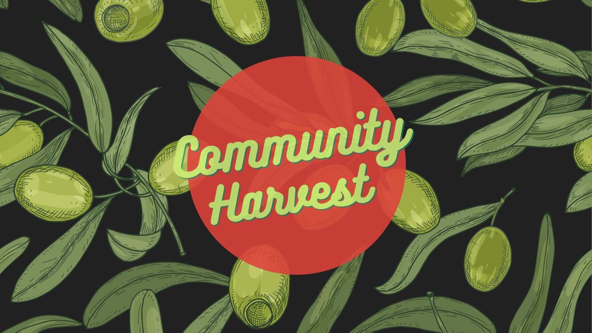 Olive Curing Workshop presented by Community Harvest & Canning Show