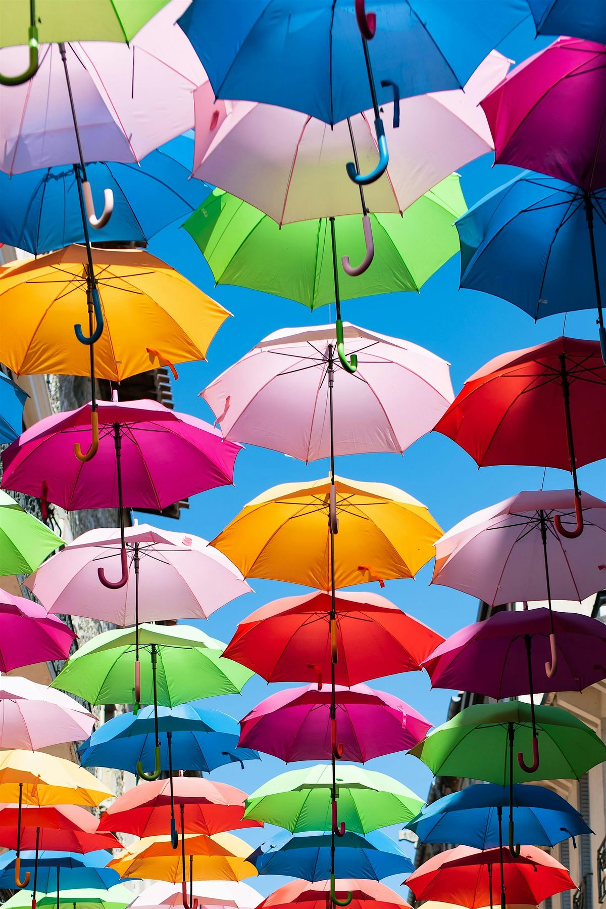 Sensory Challenges and Strategies - The Umbrella Sessions