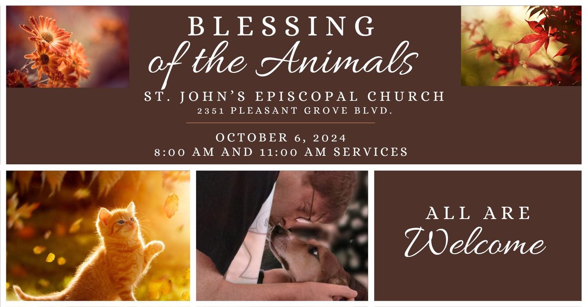 Blessing of the Animals