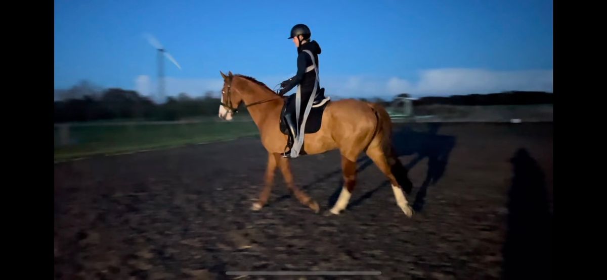 Rider Posture and Position Clinic with EQ Bands