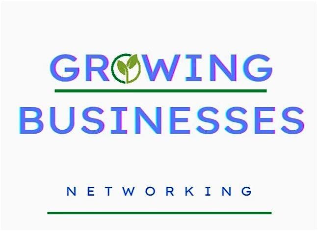 Networking for Growing Businesses hosted by Ian Gardner