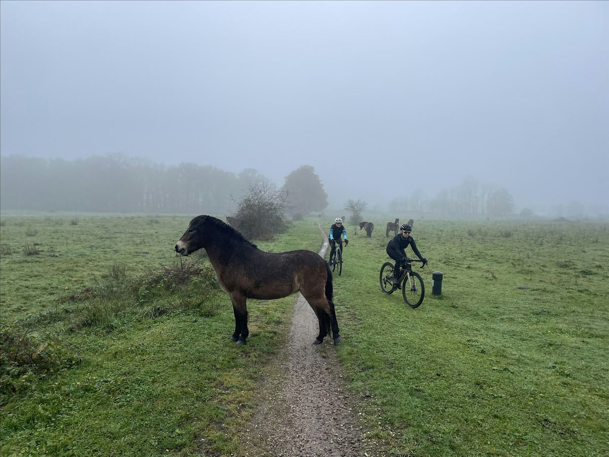 CycleXperience Etxeondo Social Gravel Ride