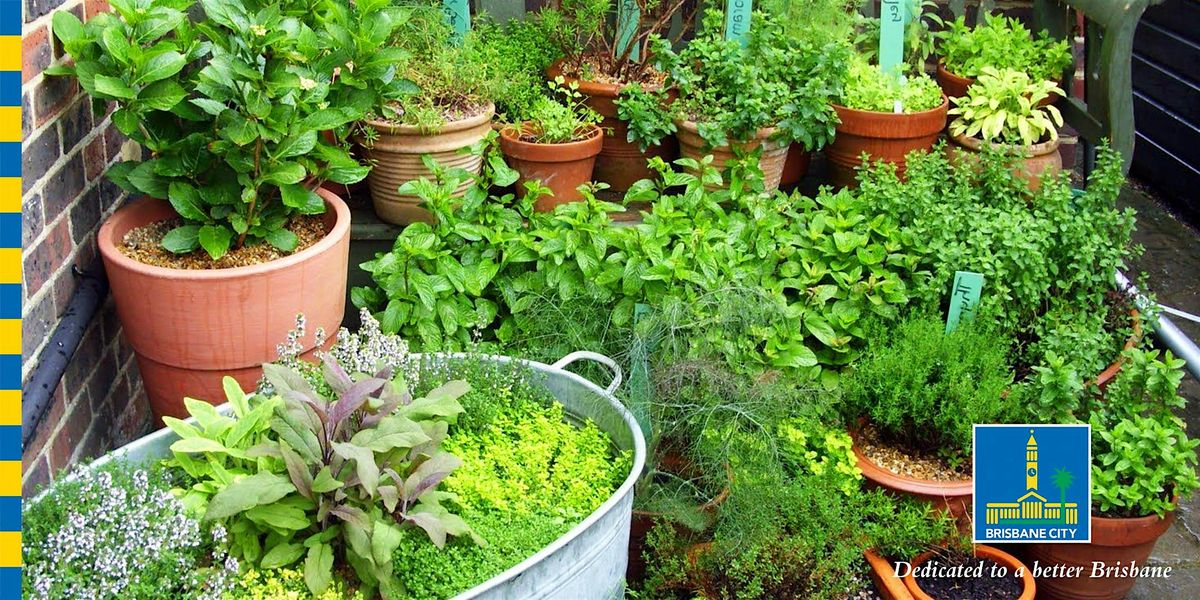 Kitchen Herbs