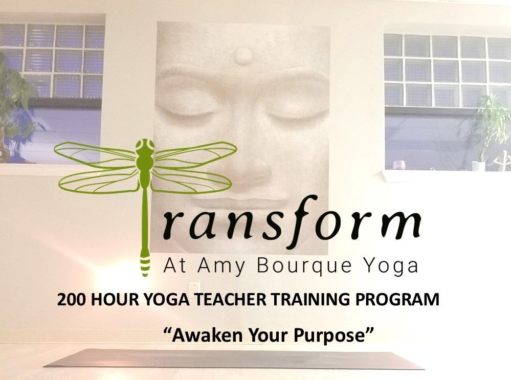 Transform Yoga Teacher Training Program 2024-25