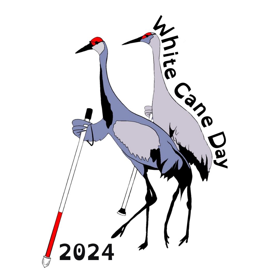 White Cane Walk 2024