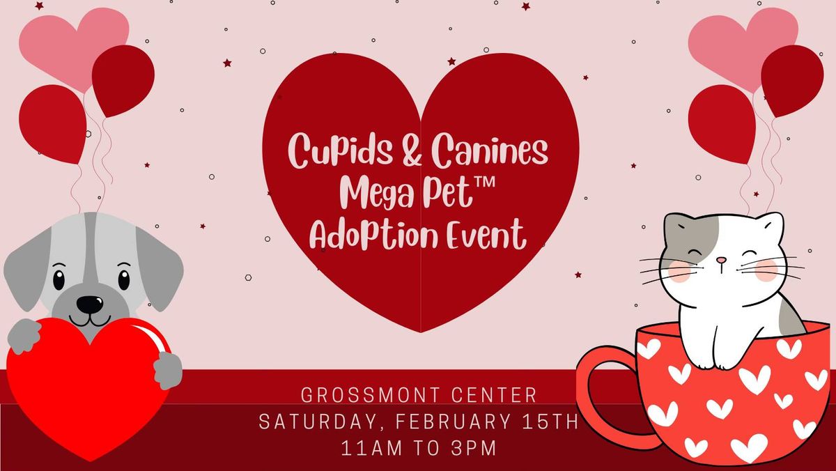 \ud83d\udc3e\u2665\ufe0fCupids & Canines MEGA Pet\u2122\ufe0f Adoption Event\u2665\ufe0f\ud83d\udc3e