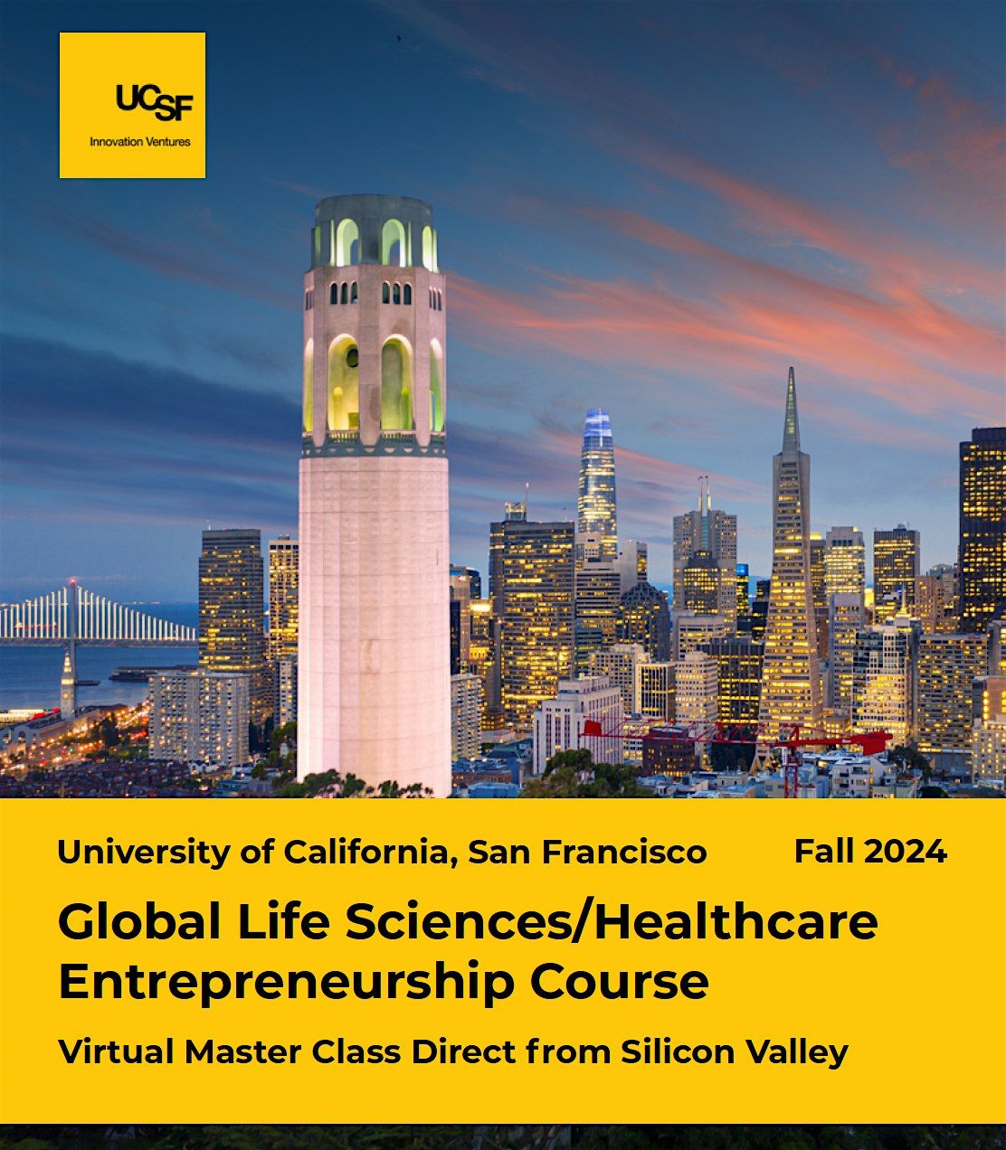 Global Life Sciences\/Healthcare Entrepreneurship Course - Virtual Class