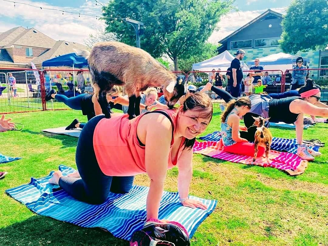 CSI Summer Camp, Acton Academy McKinney, 13 June to 16 June