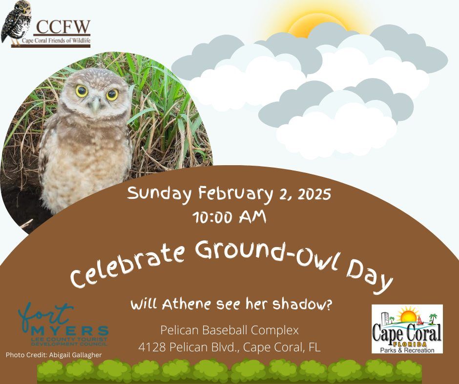 Ground-Owl Day