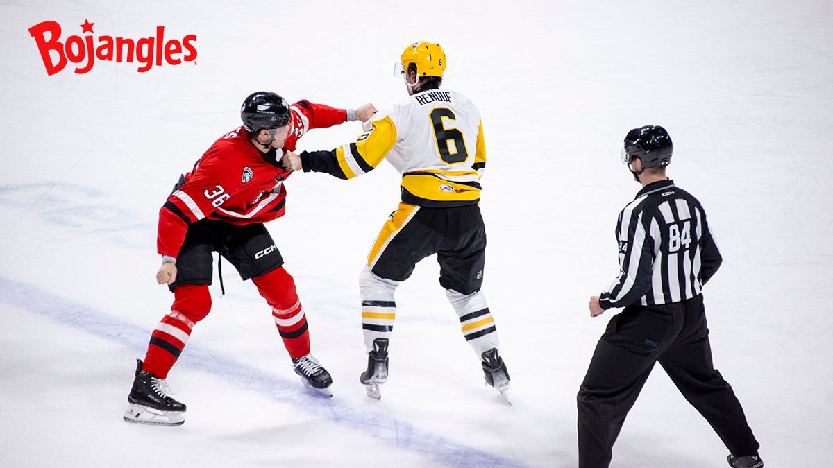 Charlotte Checkers vs. Wilkes-Barre Scranton Penguins