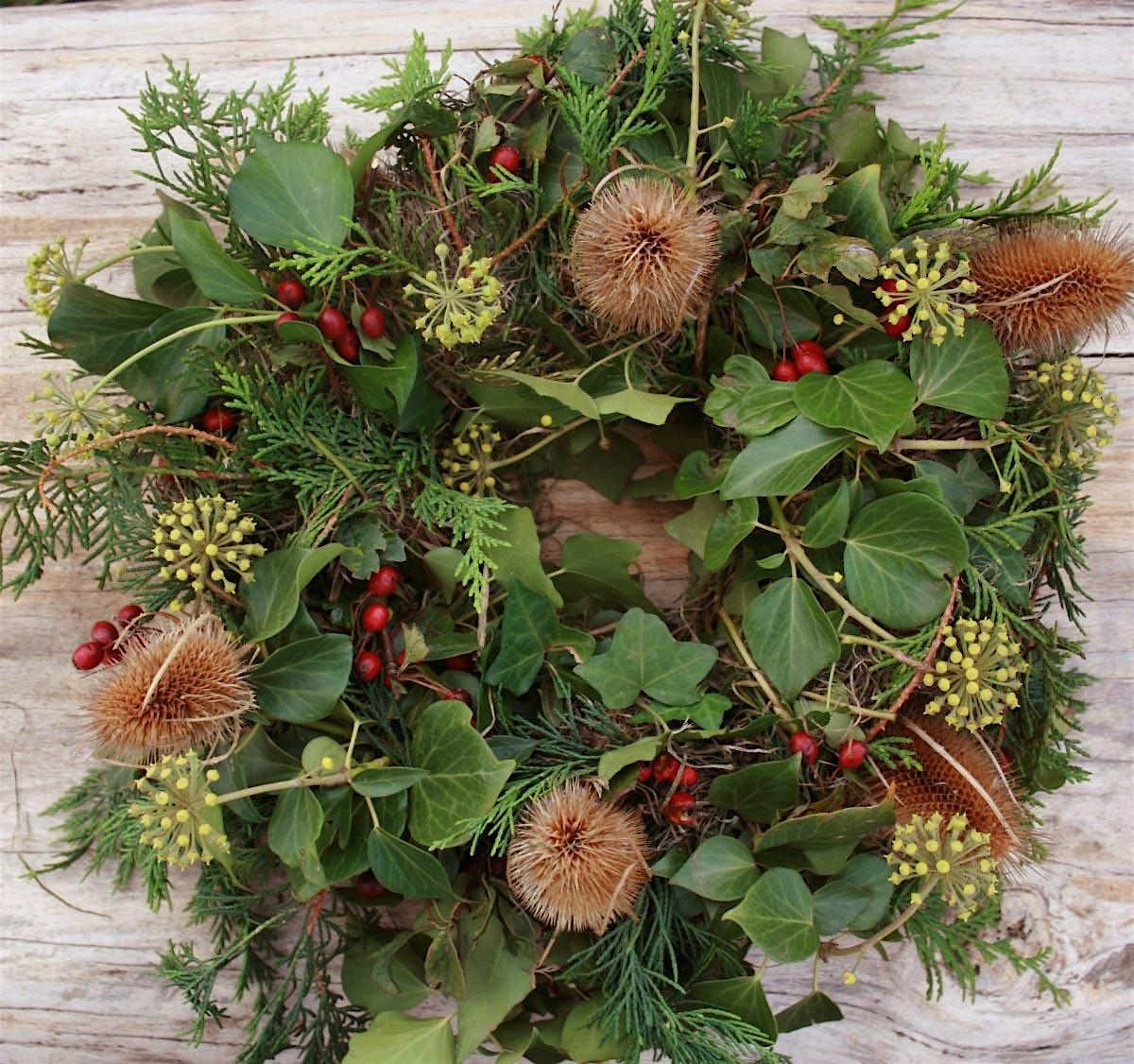 Make a wild Christmas wreath or table decoration at the Wild Cat Wilderness