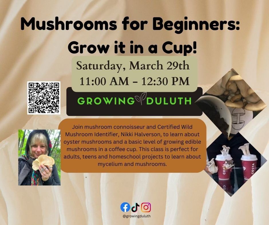 Mushrooms for Beginners: Grow it in a Cup!