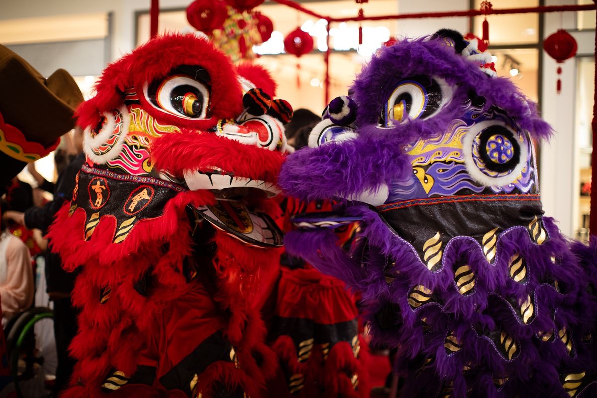 Lion Dance at Westfield Riccarton