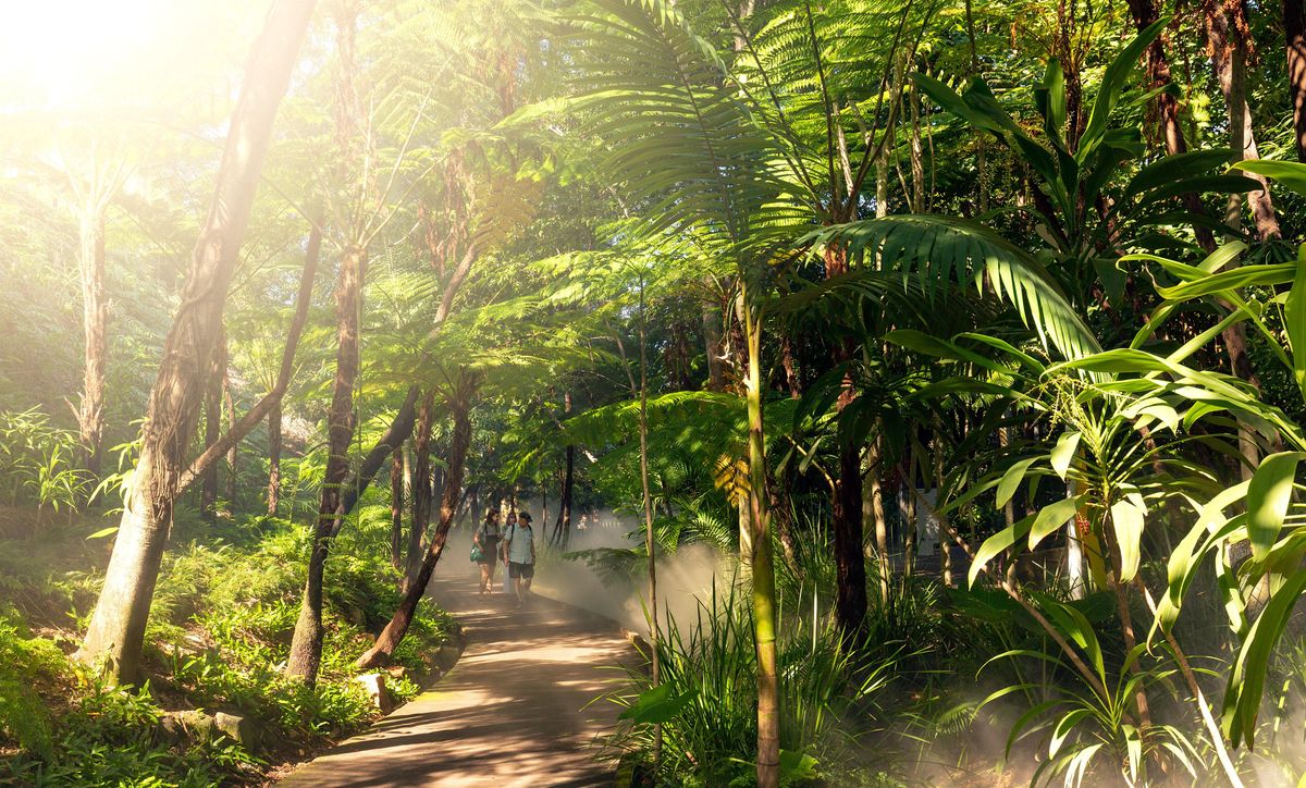 Guided Tour - Bush Tucker and The Rainforest, Roma Street Parkland