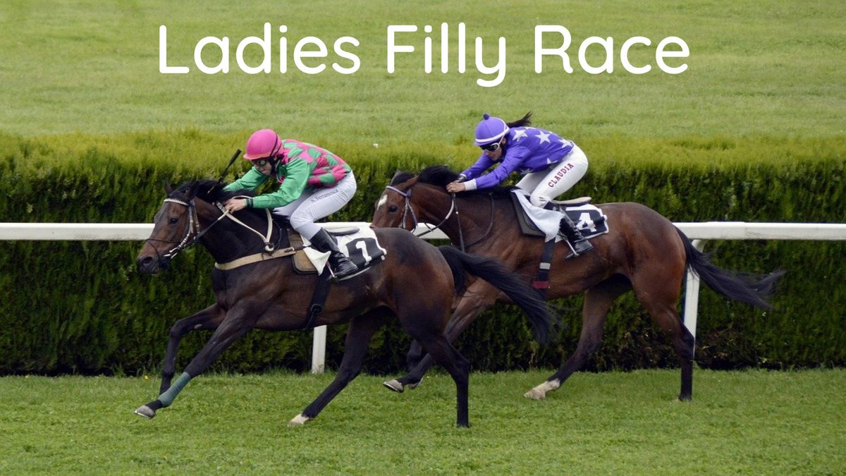 2024 Ladies Filly Race