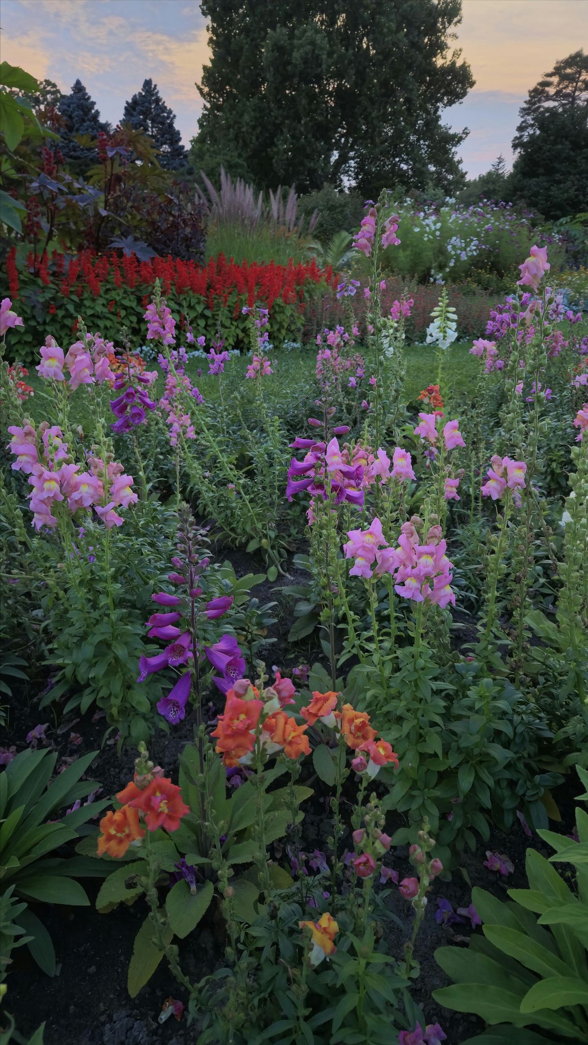 Ottawa Gay Garden Society \u2014 Arboretum Nature Walk and Social