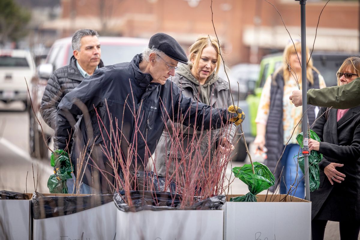 Arbor Day Dogwood Tree Giveaway 