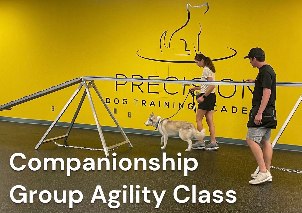 Companionship Group Agility Class