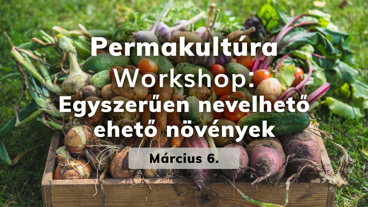 Permakult\u00fara Workshop - Egyszer\u0171 ehet\u0151 n\u00f6v\u00e9nyek